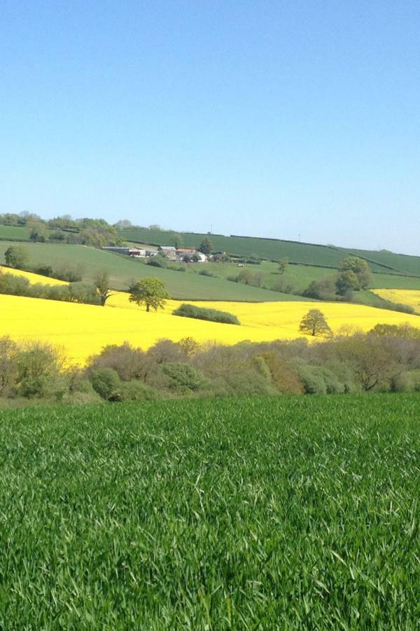 The Brick Barn, Drewsteignton Daire Exeter Dış mekan fotoğraf